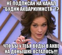 не подписан на канал "будни аквариумиста" !? что бы у тебя воды в акве на донышке осталось!!!