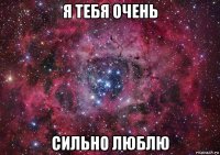 я тебя очень сильно люблю