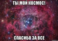 ты мой космос! спасибо за все