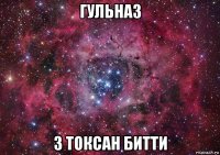 гульназ 3 токсан битти