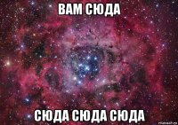 вам сюда сюда сюда сюда