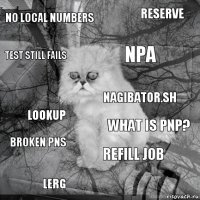 No Local numbers What is PNP? npa lerg lookup reserve Refill job test still fails broken pns nagibator.sh