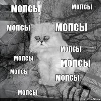 мопсы мопсы мопсы мопсы мопсы мопсы мопсы мопсы мопсы мопсы