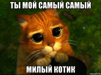 ты мой самый самый милый котик