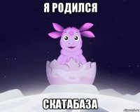 я родился скатабаза