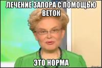 лечение запора с помощью веток это норма