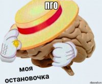 пго 