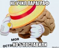 не учил параграф но 5 поставили