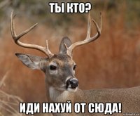 ты кто? иди нахуй от сюда!