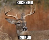 кискими тупица