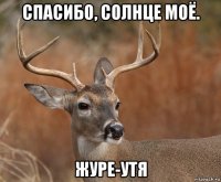 спасибо, солнце моё. журе-утя