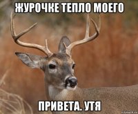 журочке тепло моего привета. утя