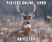 players online - 5999 качество