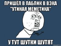 пришёл в паблик в вэка "утиная меметика" у тут шутки шутят