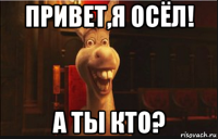 привет,я осёл! а ты кто?