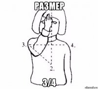 размер 3/4