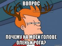 вопрос почему на моей голове оленьи рога?