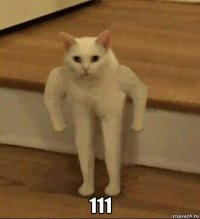  111