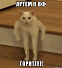 артём в вф горит!!!!!