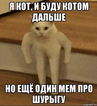 я кот, и буду котом дальше но ещё один мем про шурыгу