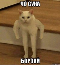 чо сука борзий