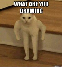 what are you drawing 