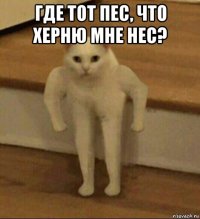 где тот пес, что херню мне нес? 