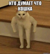 кто думает что кошка 