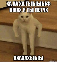 ха ха ха гыыыыф вжух и ты петух ахахахыыы