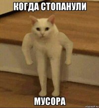 когда стопанули мусора