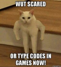 wut scared or type codes in games now!