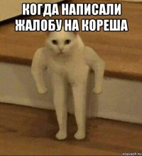 когда написали жалобу на кореша 