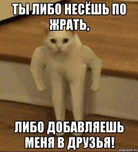 ты либо несёшь по жрать, либо добавляешь меня в друзья!