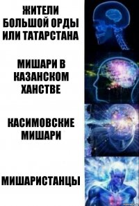 Жители большой Орды или татарстана Мишари в Казанском ханстве Касимовские мишари Мишаристанцы