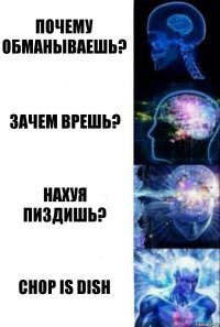 Почему обманываешь? Зачем врешь? Нахуя пиздишь? Chop is dish