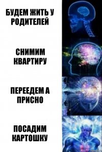 Будем жить у родителей Снимим квартиру Переедем а присно Посадим картошку