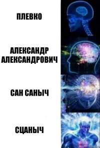 Плевко Александр Александрович Сан Саныч сцаныч