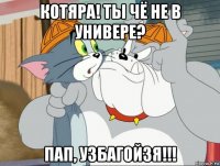 котяра! ты чё не в универе? пап, узбагойзя!!!