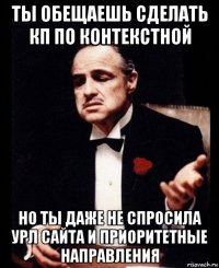 ты обещаешь сделать кп по контекстной но ты даже не спросила урл сайта и приоритетные направления