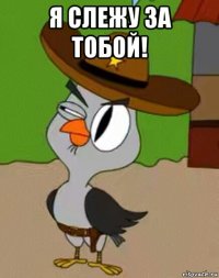 я слежу за тобой! 