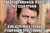 я андрей тимофеев. я корчу из себя профи. а на деле могу только очкарикам прислуживать