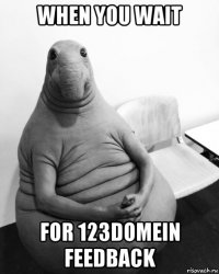 when you wait for 123domein feedback