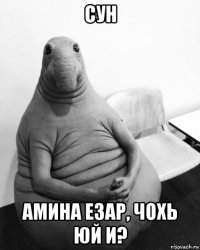 сун амина езар, чохь юй и?