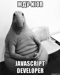 жду-nior javascript developer