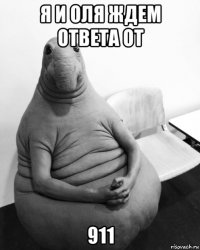 я и оля ждем ответа от 911