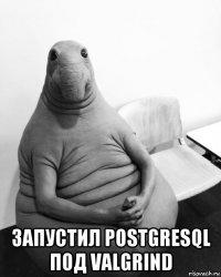  запустил postgresql под valgrind