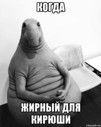 когда жирный для кирюши