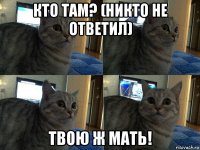 кто там? (никто не ответил) твою ж мать!