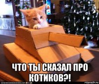  что ты сказал про котиков?!