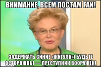 внимание, всем постам гаи! задержать синие «жигули»! будьте осторожны — преступник вооружён!